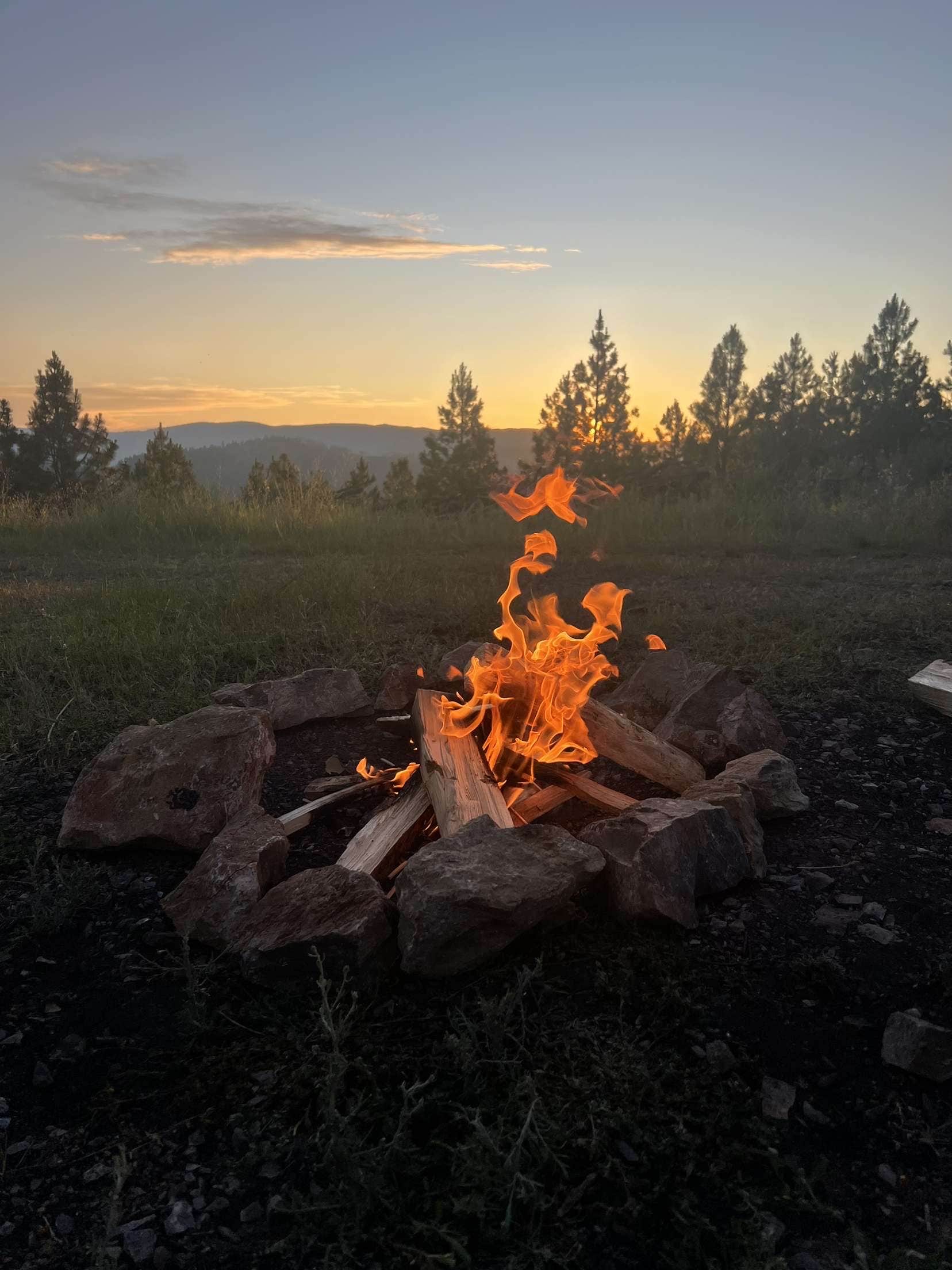 Camper-submitted photo at Blue Mountain Forest Rd 365 - Dispersed near Lolo, MT