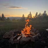 Review photo of Blue Mountain Forest Rd 365 - Dispersed by Ady , July 5, 2025