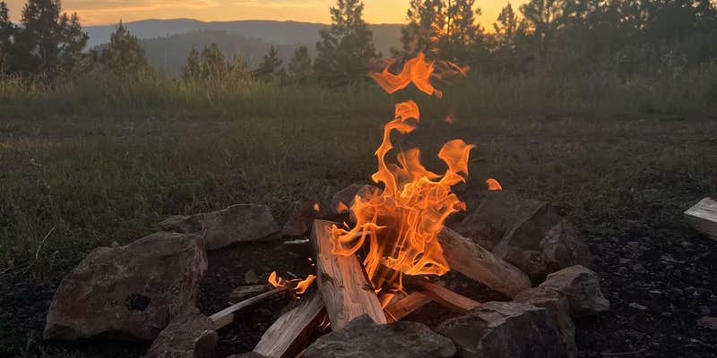 Camper submitted image from Blue Mountain Forest Rd 365 - Dispersed