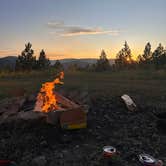 Review photo of Blue Mountain Forest Rd 365 - Dispersed by Ady , July 5, 2025