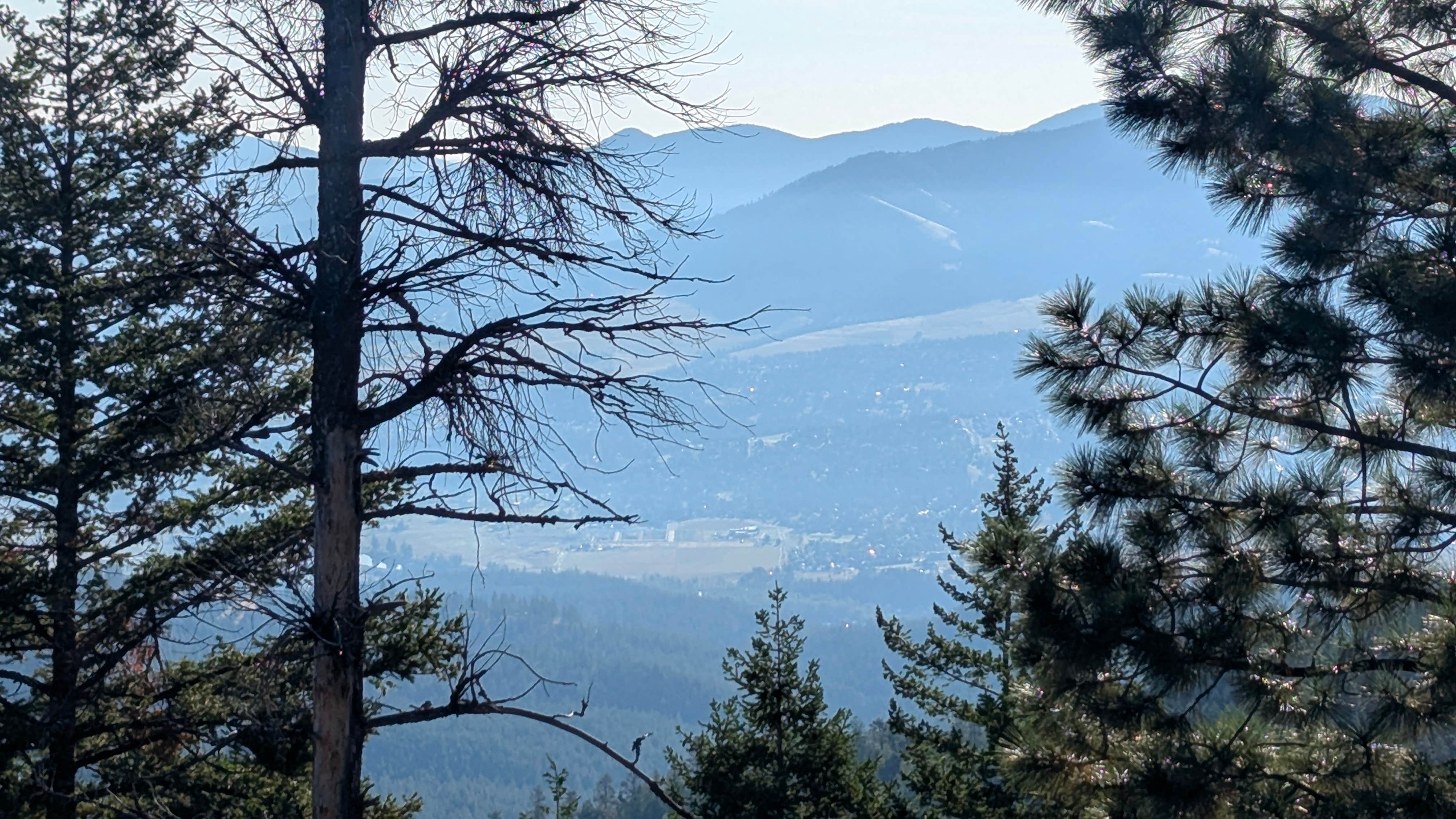Camper-submitted photo at Blue Mountain Forest Rd 365 - Dispersed near Lolo, MT
