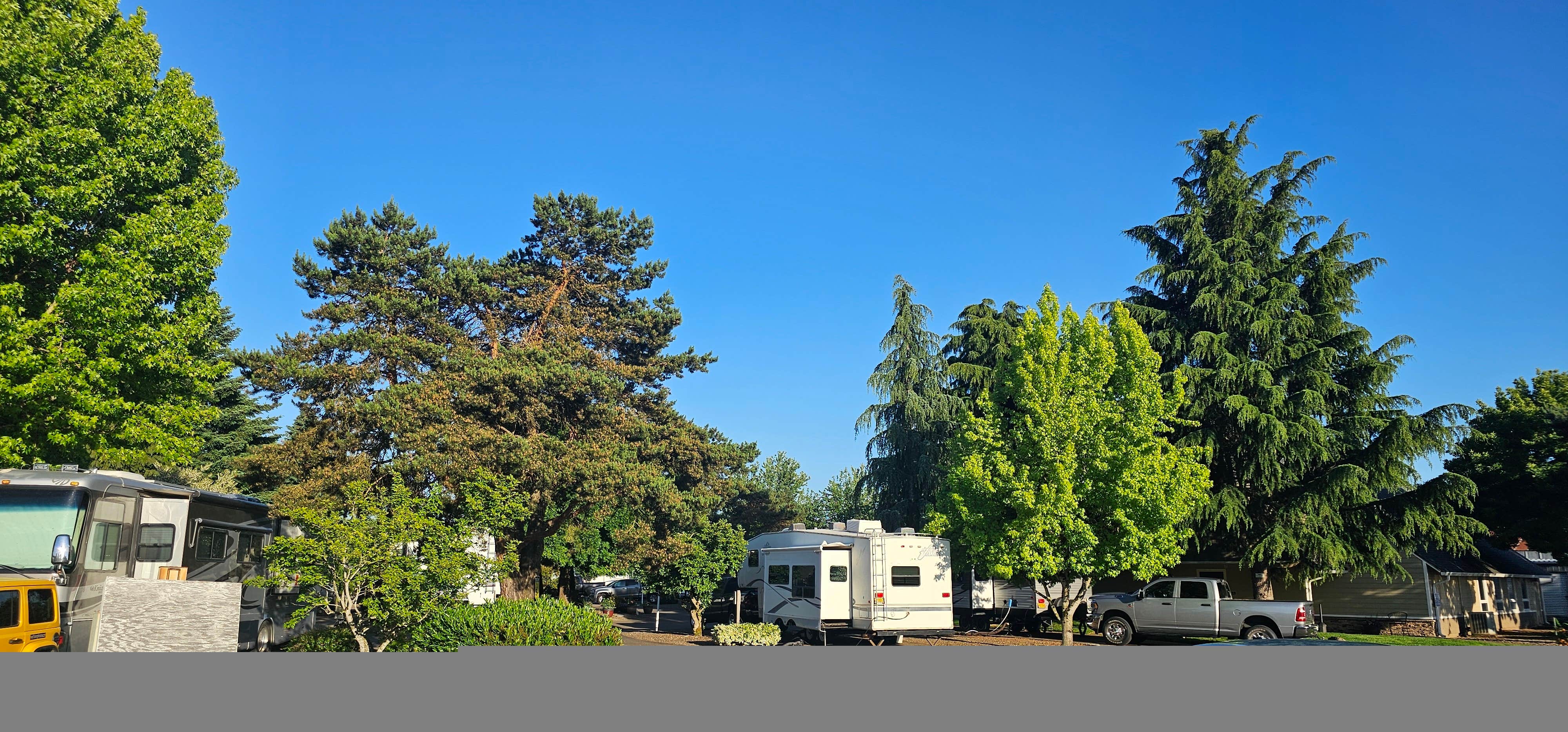 Mike E.'s photo of rv camping at Blue Ox RV Park near Adair Village, OR