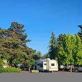 Review photo of Blue Ox RV Park by Mike E., May 29, 2025