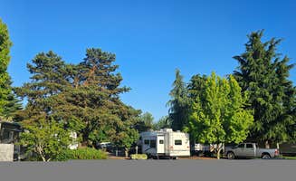 Mike E.'s photo of rv camping at Blue Ox RV Park near Jefferson, OR
