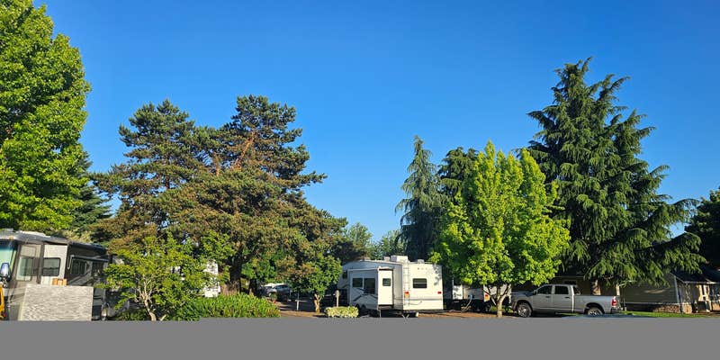 Camper submitted image from Blue Ox RV Park