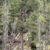 Review photo of Blue Ridge Reservoir by Craig B., May 30, 2025