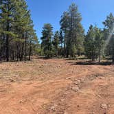 Review photo of Blue Ridge Resevoir, Arizona by sophia , June 21, 2026