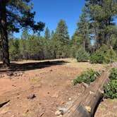 Review photo of Blue Ridge Resevoir, Arizona by sophia , June 21, 2026