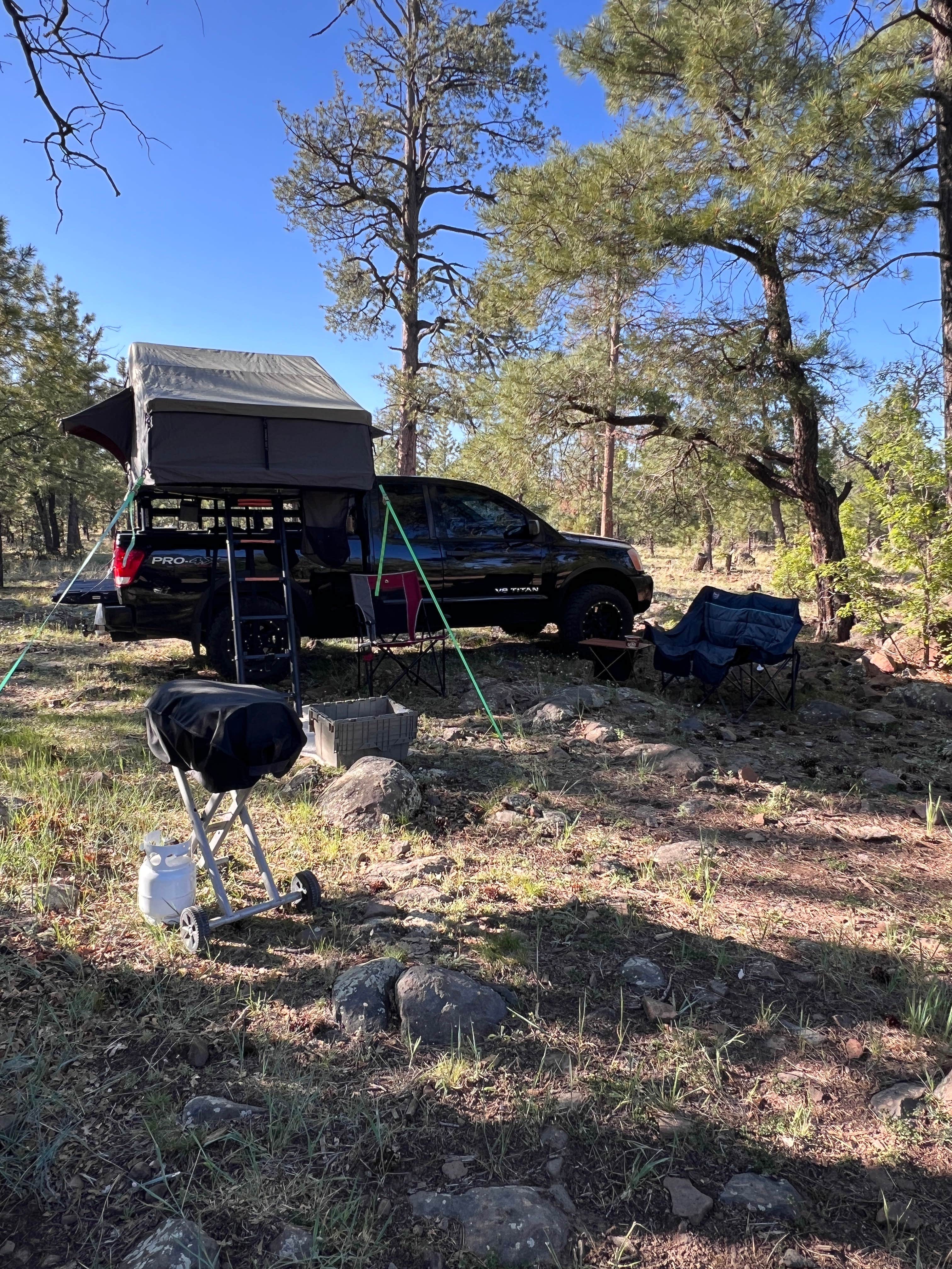 Camper submitted image from Blue Ridge Resevoir, Arizona - 5