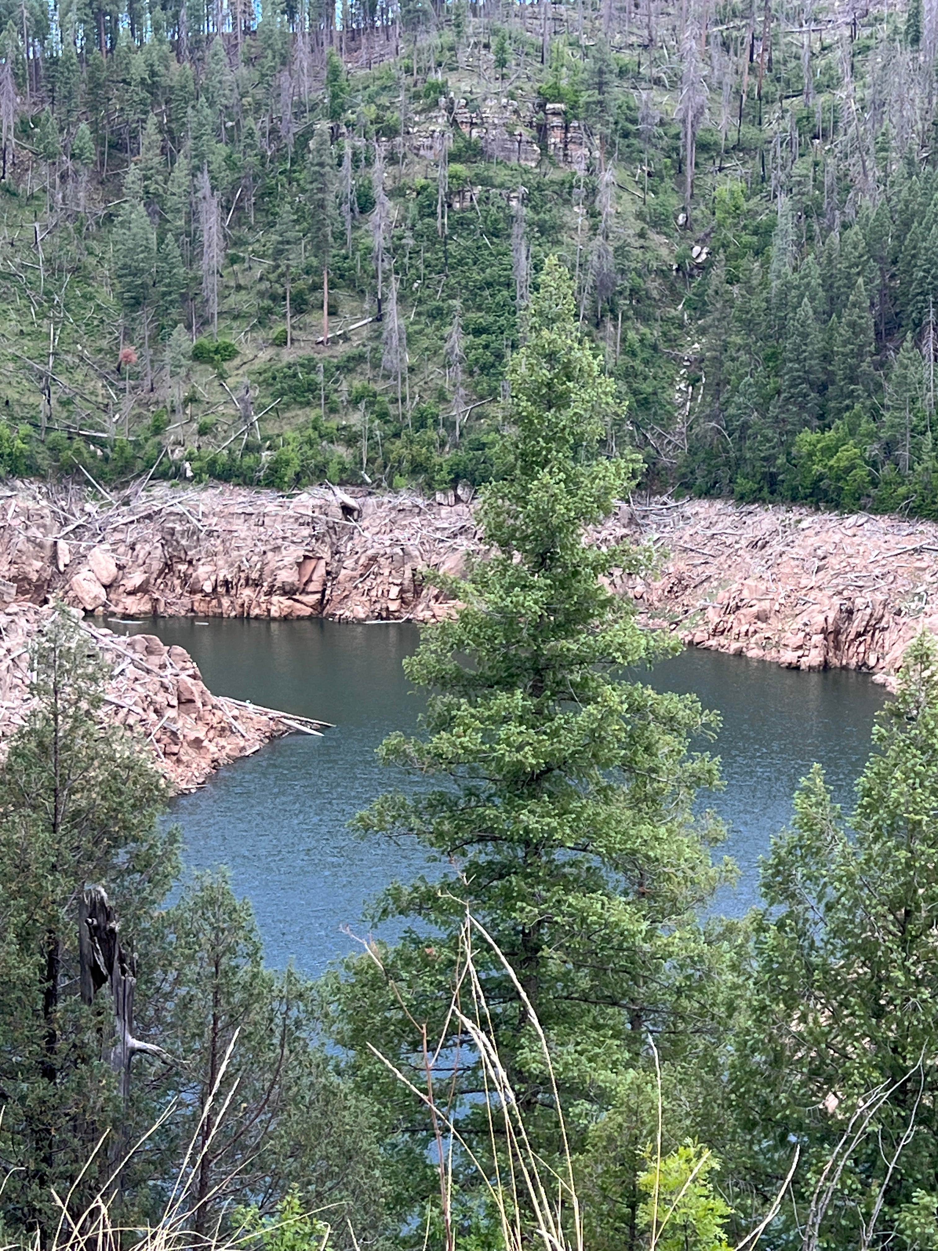 Camper submitted image from Blue Ridge Resevoir, Arizona - 4