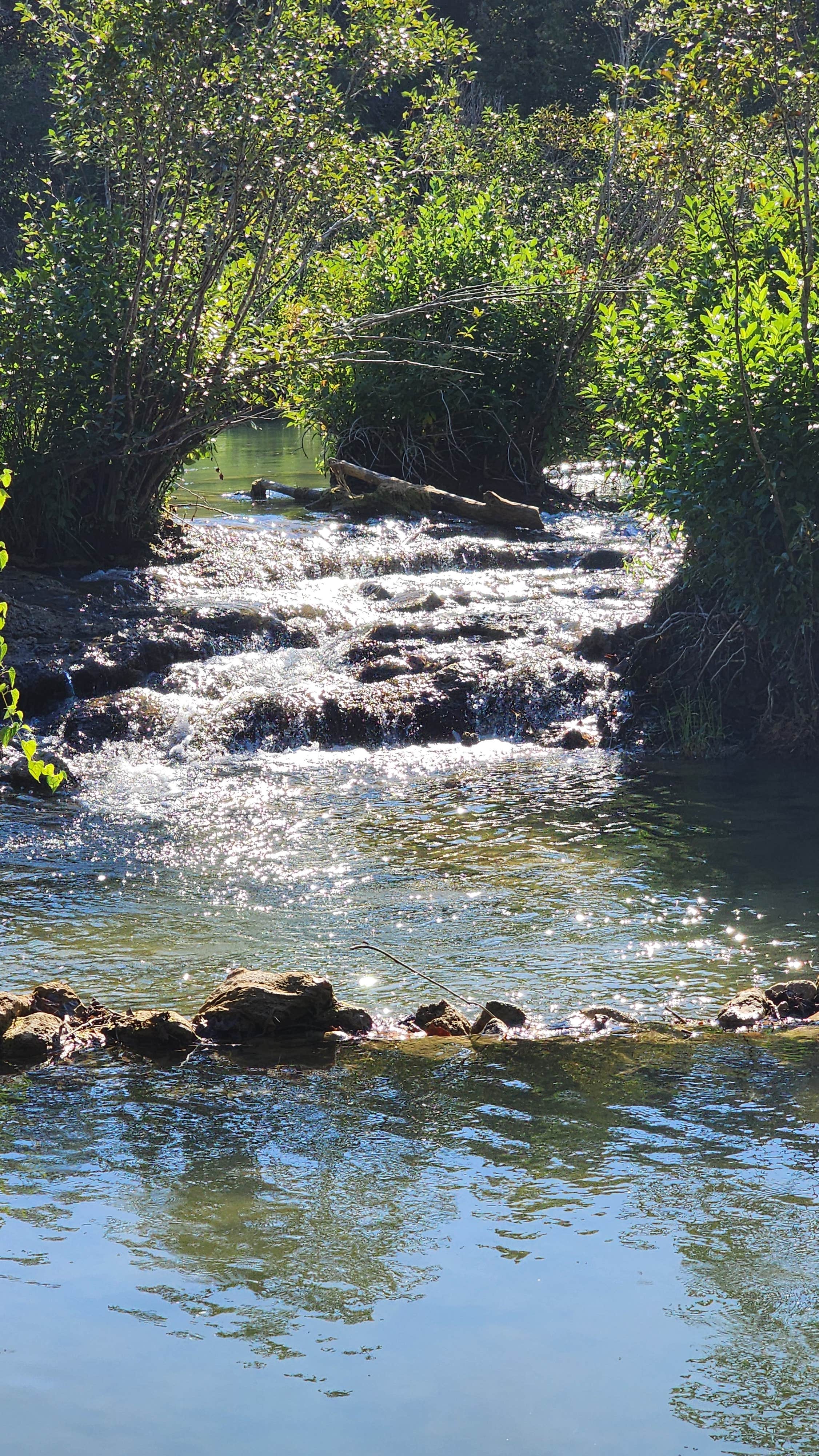 Camper-submitted photo at Blue River Camp near Ardmore, OK