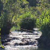 Review photo of Blue River Camp by Wesley H., October 13, 2025