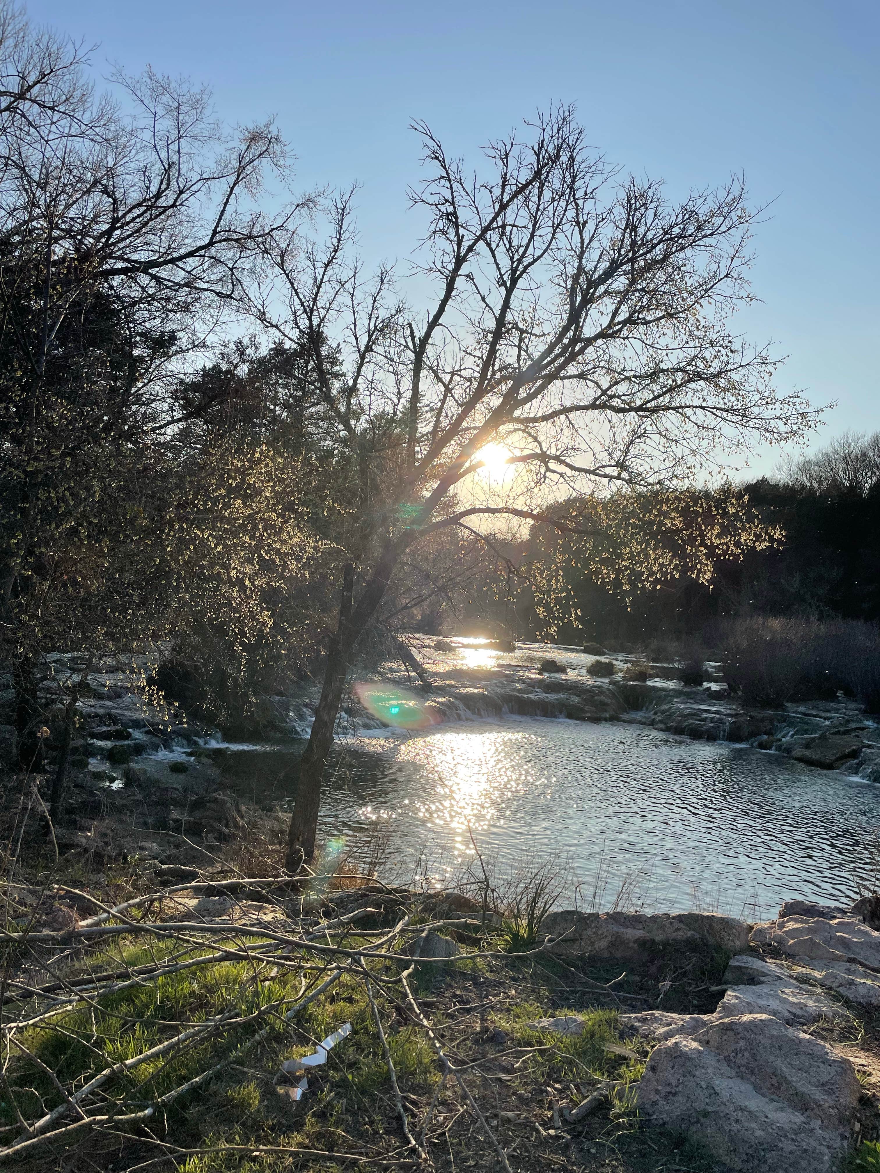 Nancy's photo of a dispersed camping area at Blue River Camp near Gordonville, TX