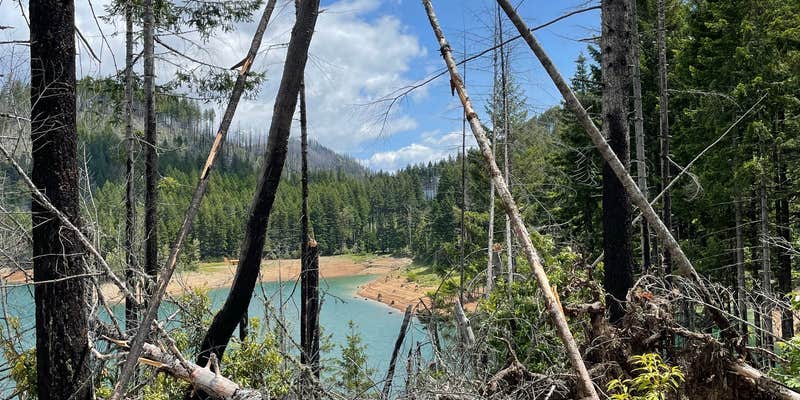 Camper submitted image from Blue River Reservoir Oregon