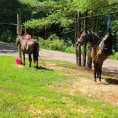 Review photo of Blue Rock State Park Campground — Blue Rock State Park by Janessa S., August 11, 2024