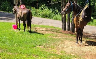 Janessa S.'s photo of camping with a horse at Blue Rock State Park Campground — Blue Rock State Park near Caldwell, OH