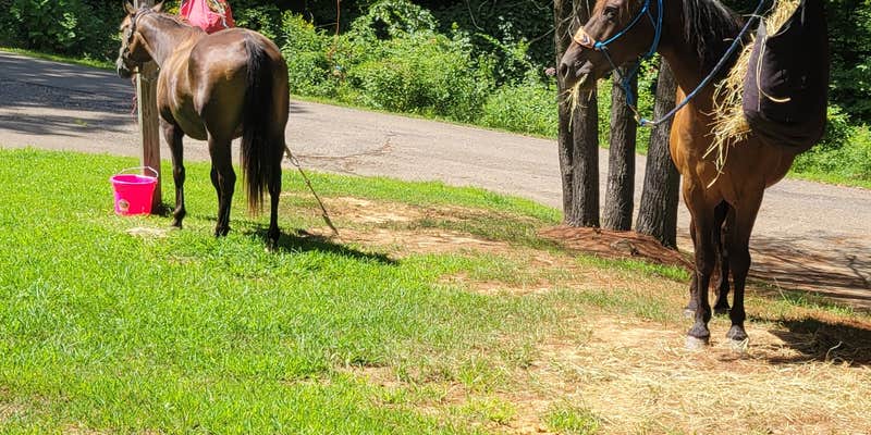 Camper submitted image from Blue Rock State Park Campground — Blue Rock State Park