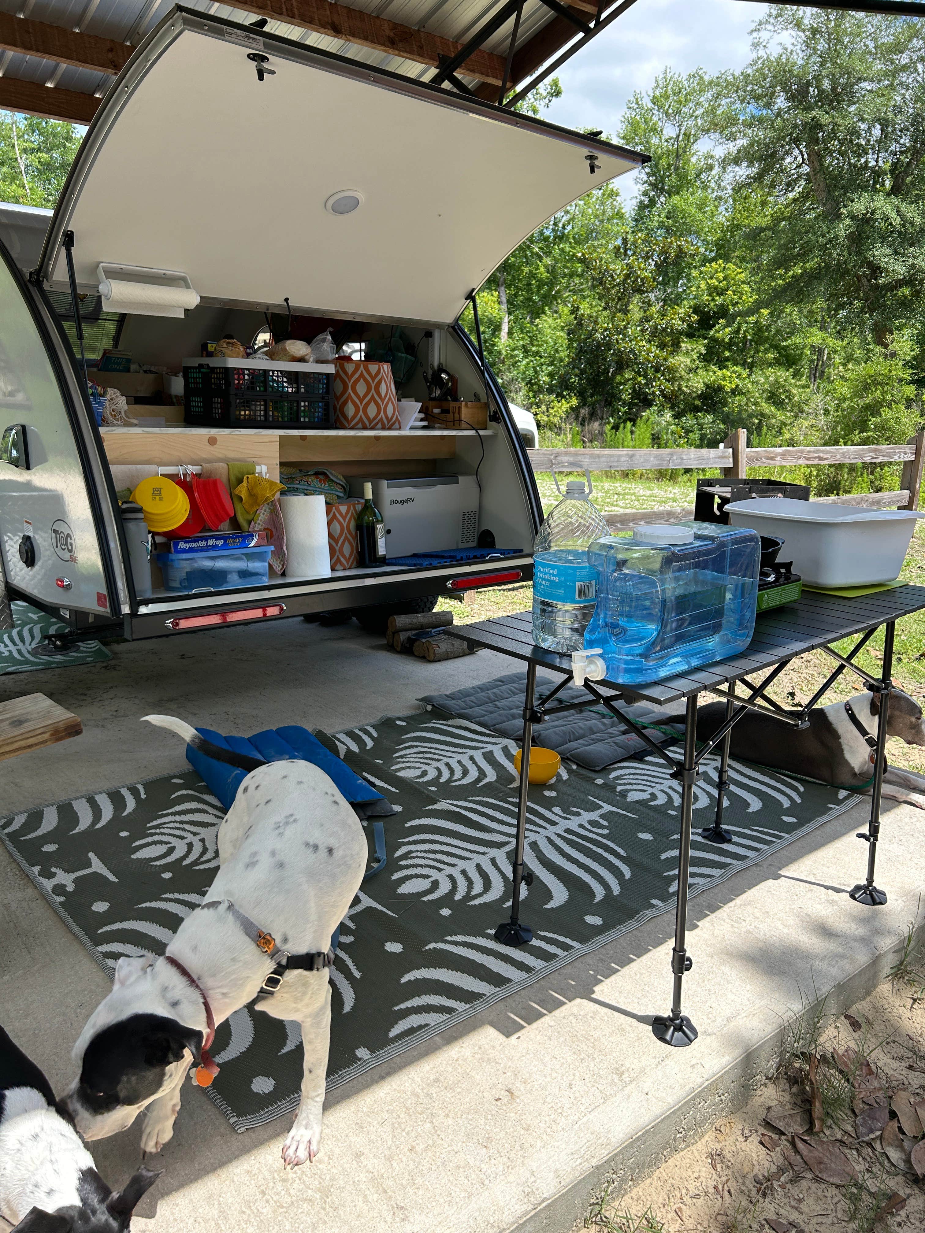 Camper submitted image from Blue Spring Recreation Area - 1