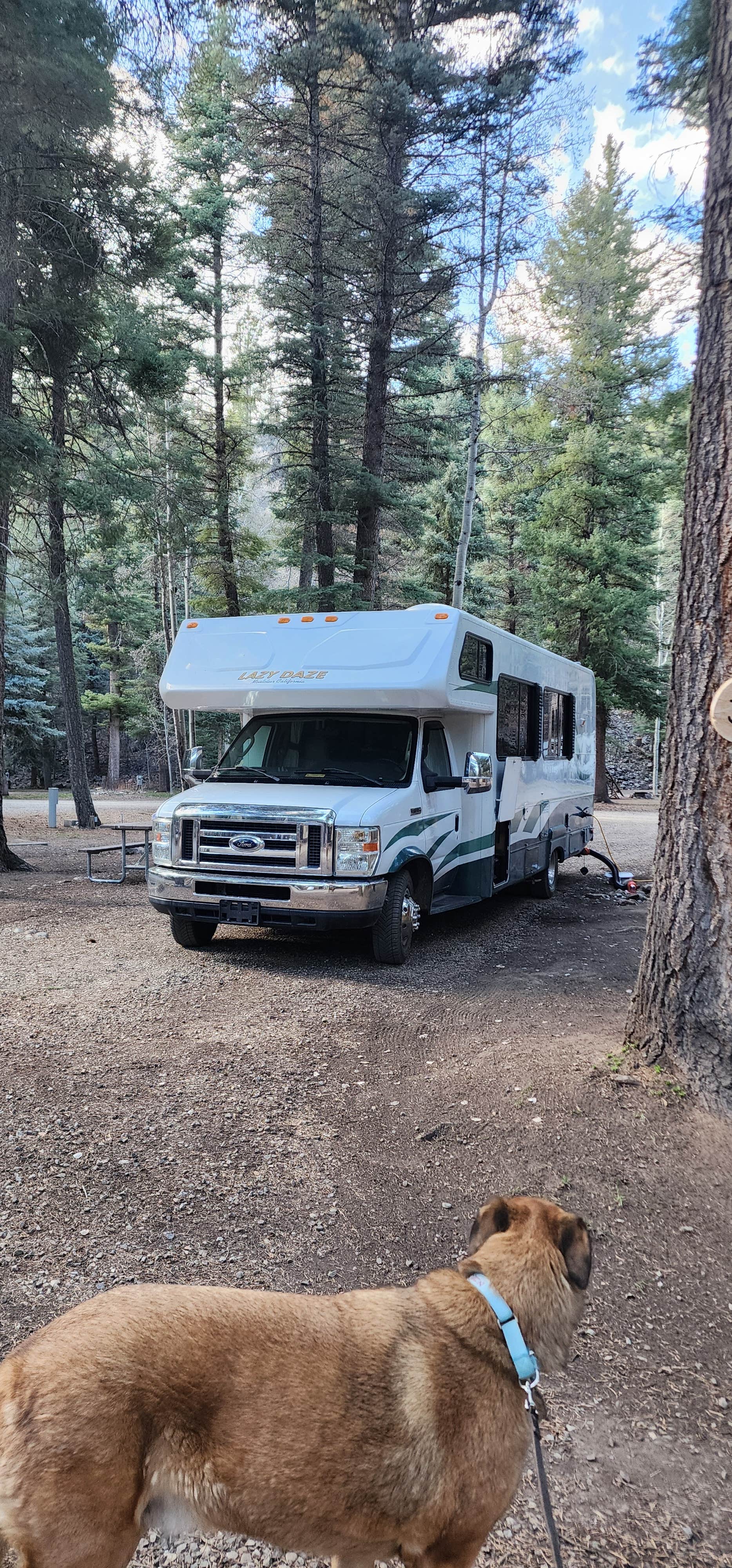 Camper-submitted photo at Blue Spruce RV Park & Cabins near Arboles, CO