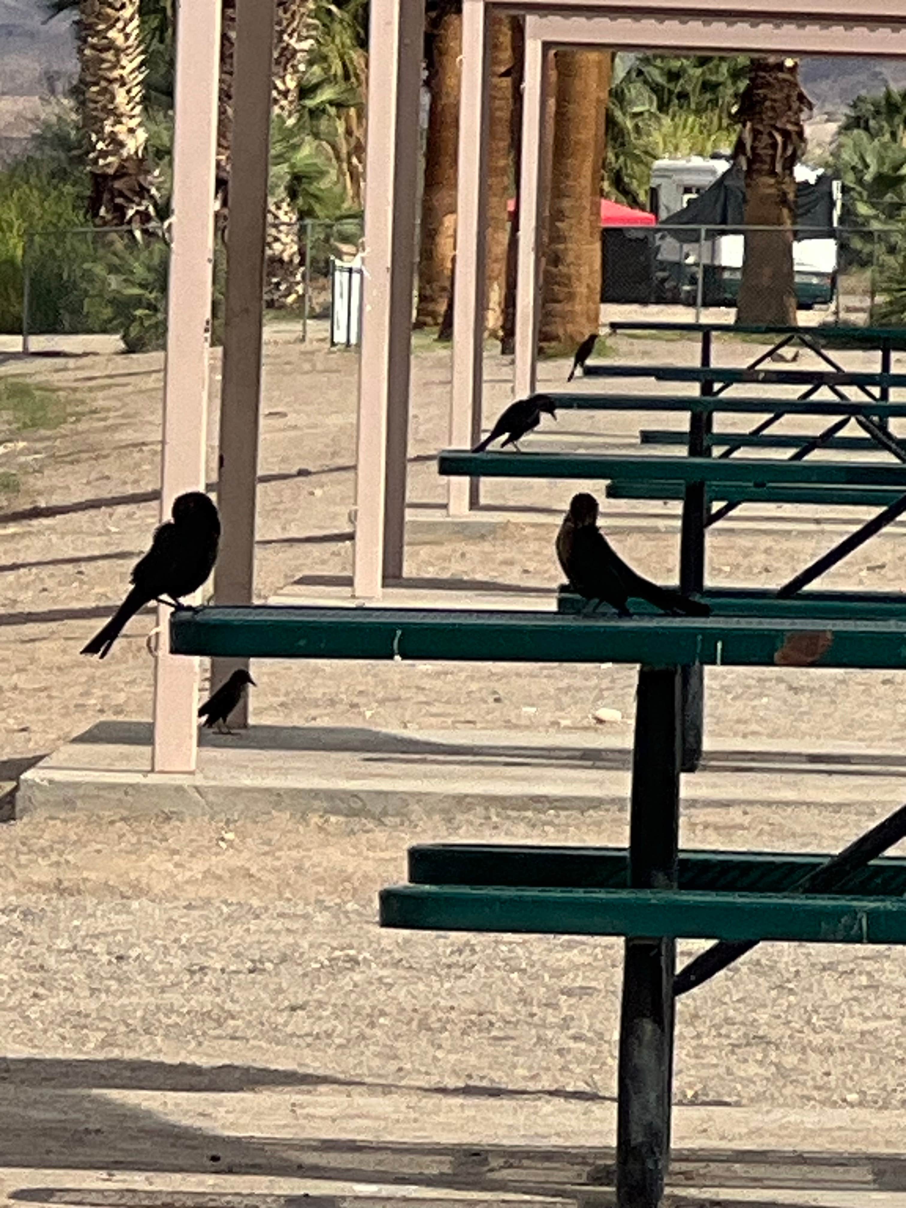 Camper submitted image from BlueWater Resort & Casino - 2