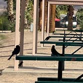 Review photo of BlueWater Resort & Casino by Christine B., November 15, 2025