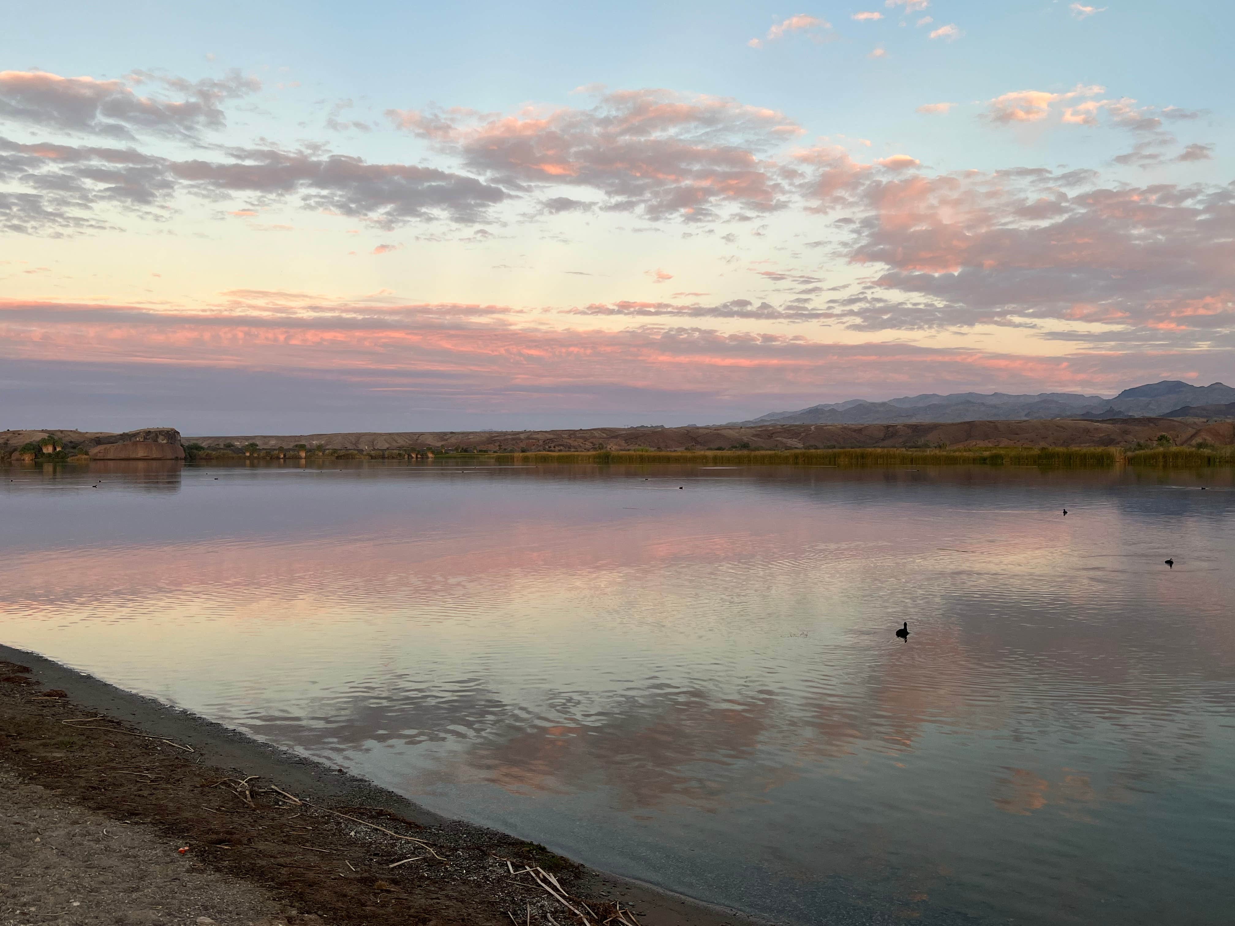 Camper submitted image from BlueWater Resort & Casino - 5