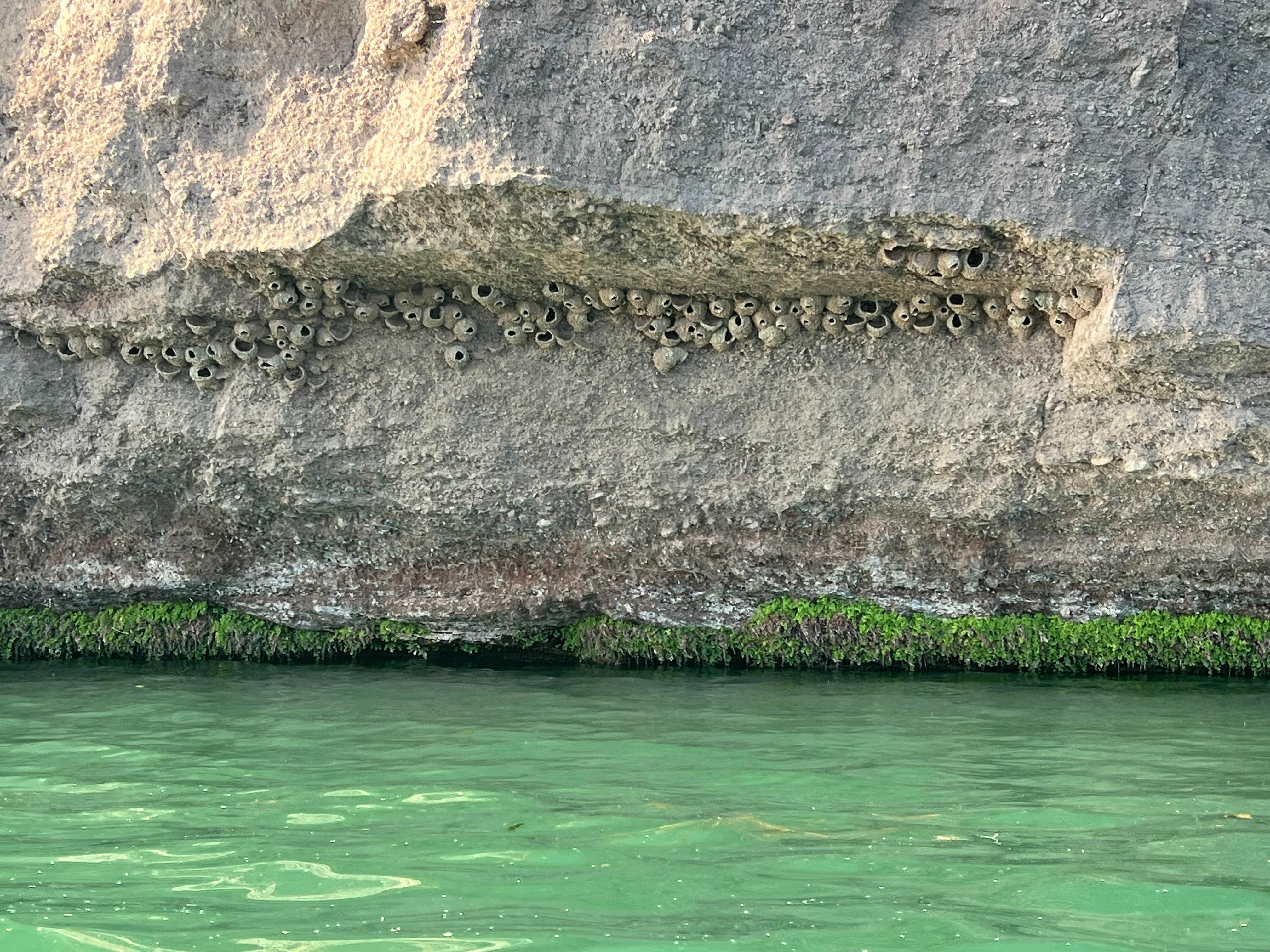 Camper-submitted photo at BlueWater Resort & Casino near Parker, AZ