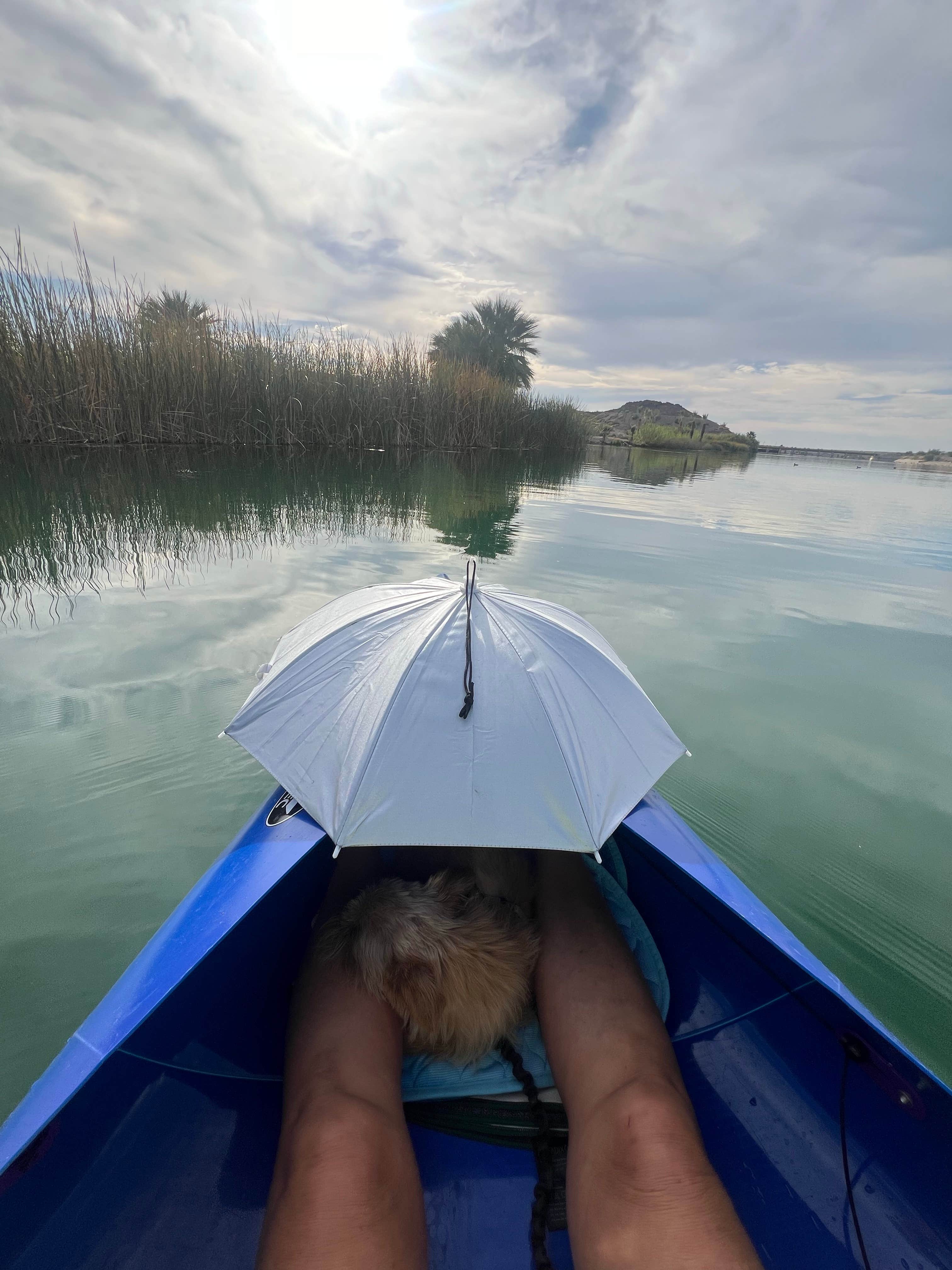 Camper submitted image from BlueWater Resort & Casino - 5