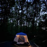 Review photo of Blueberry Patch Campground — Green Mountain & Finger Lakes National Forests by MK P., August 30, 2026