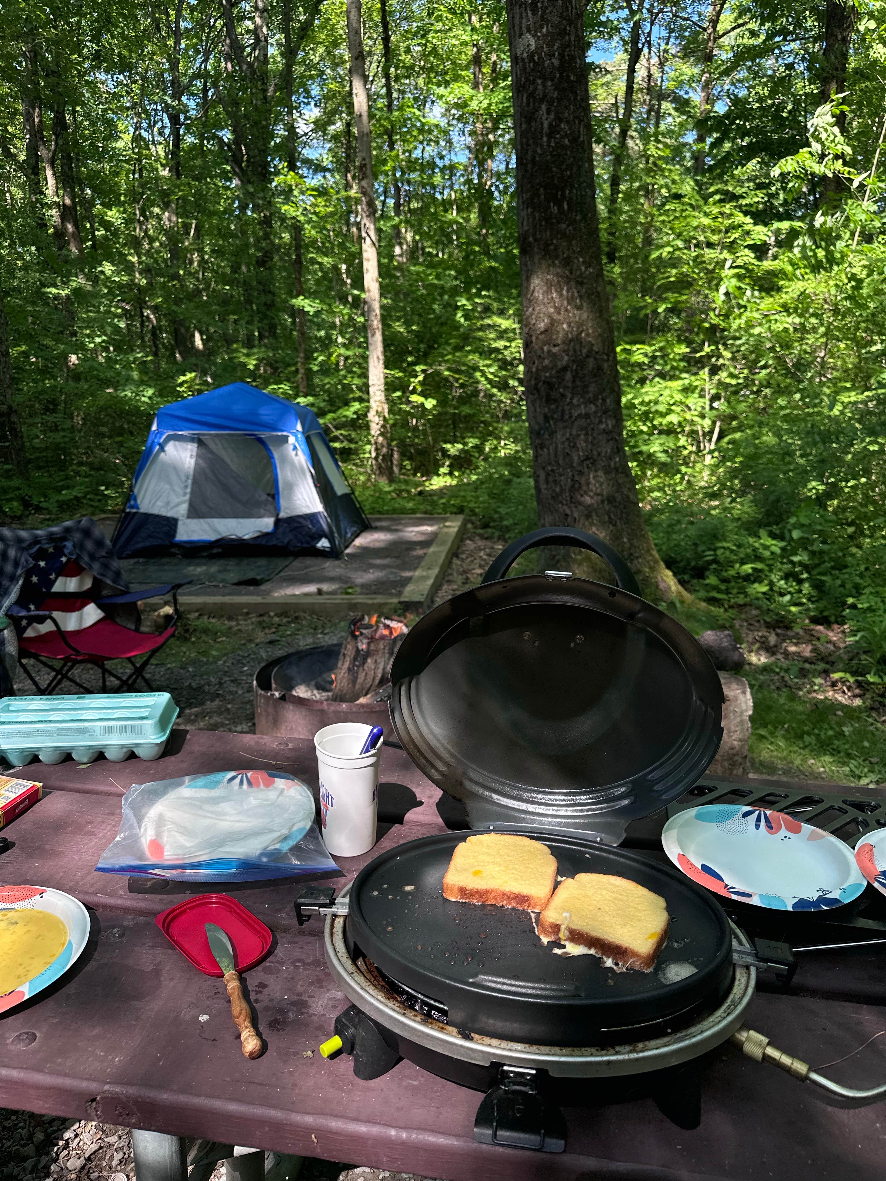 MK P.'s photo at Blueberry Patch Campground — Green Mountain & Finger Lakes National Forests near Trumansburg, NY