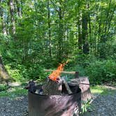 Review photo of Blueberry Patch Campground — Green Mountain & Finger Lakes National Forests by MK P., August 30, 2026