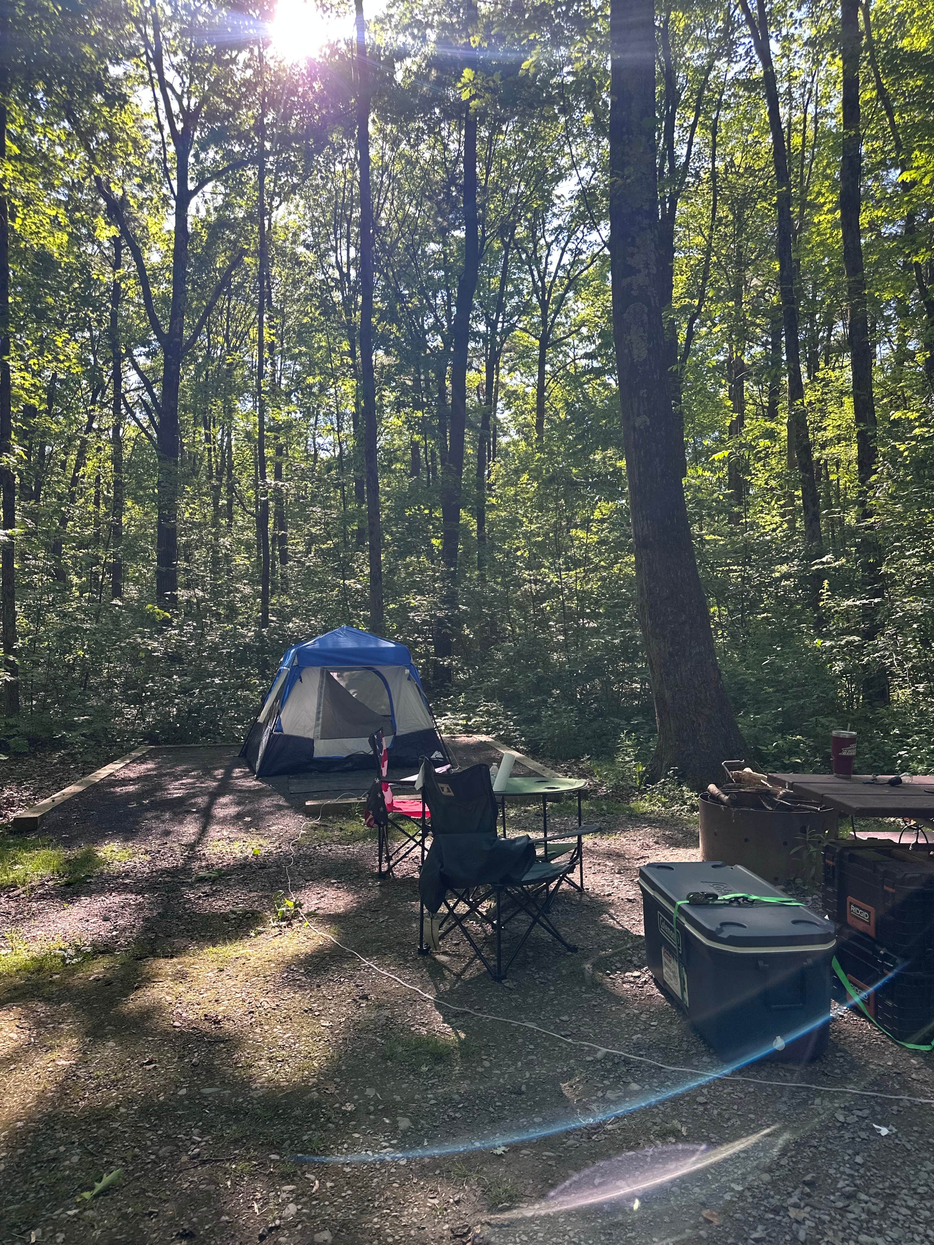 MK P.'s photo at Blueberry Patch Campground — Green Mountain & Finger Lakes National Forests near Aurora, NY