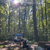 Review photo of Blueberry Patch Campground — Green Mountain & Finger Lakes National Forests by MK P., August 30, 2026