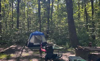 MK P.'s photo at Blueberry Patch Campground — Green Mountain & Finger Lakes National Forests near Willard, NY