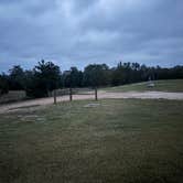 Review photo of Bluebonnet Meadow RV Park by Marilyn M., December 4, 2025