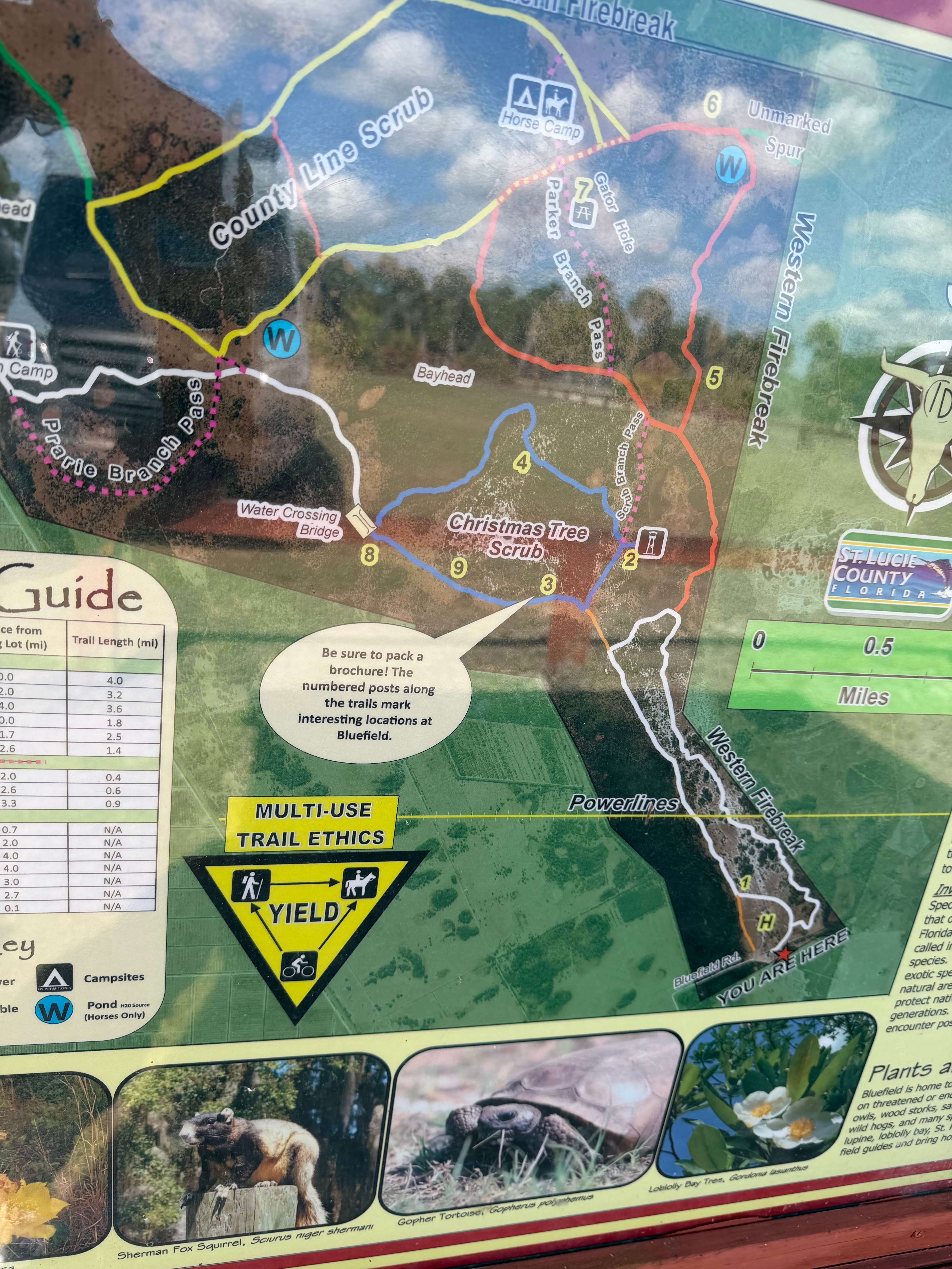 bluefiel ranch preserve