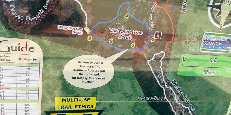 Camper submitted image from bluefiel ranch preserve