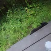 Review photo of Bluewater Bay Campground — Mirror Lake State Park by Jennifer K., August 12, 2025