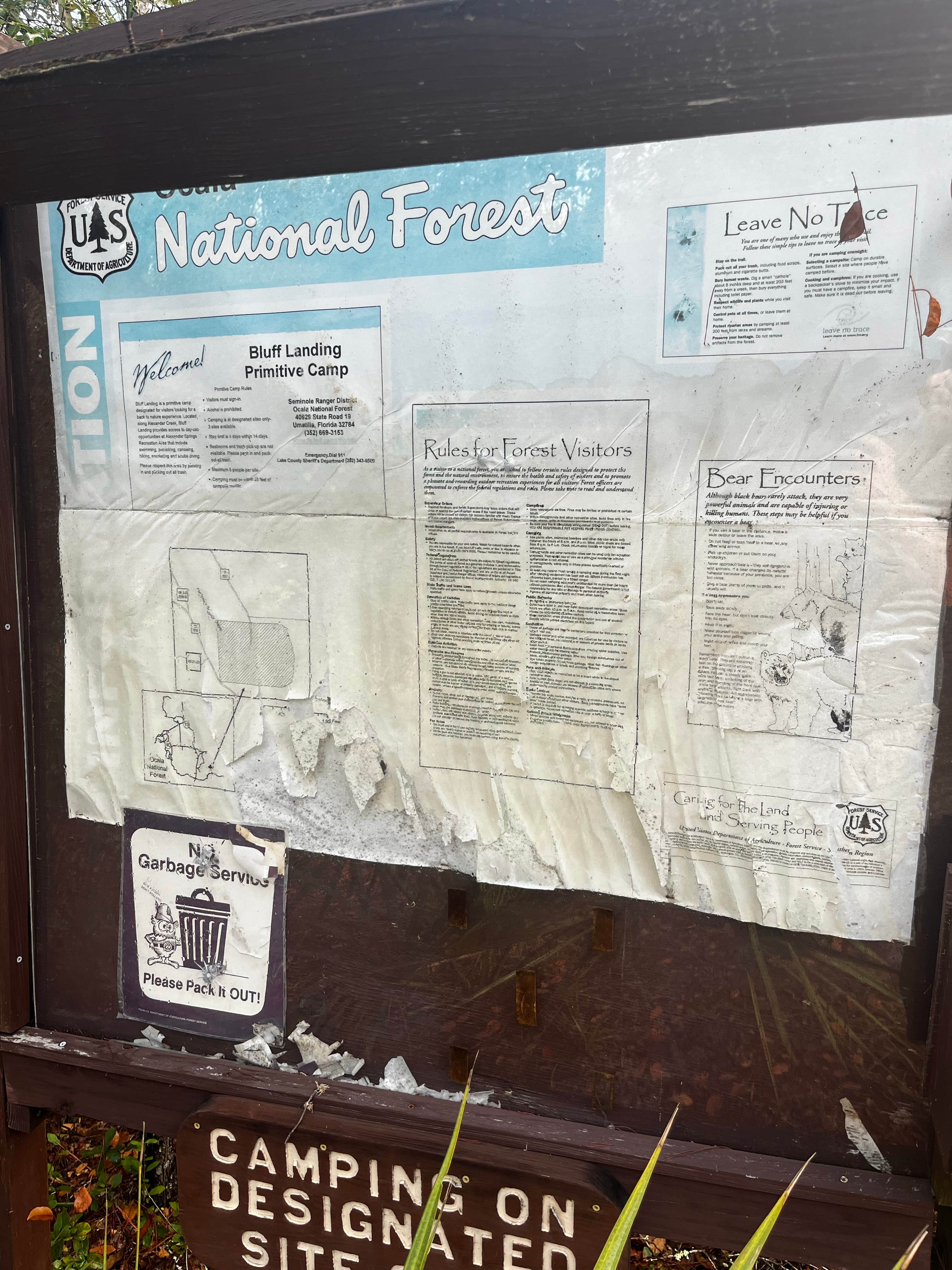 Camper-submitted photo at Bluff Landing near Orange City, FL