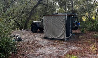 Camping near Trout Lake Primitive Sites: Bluff Landing, Paisley, Florida