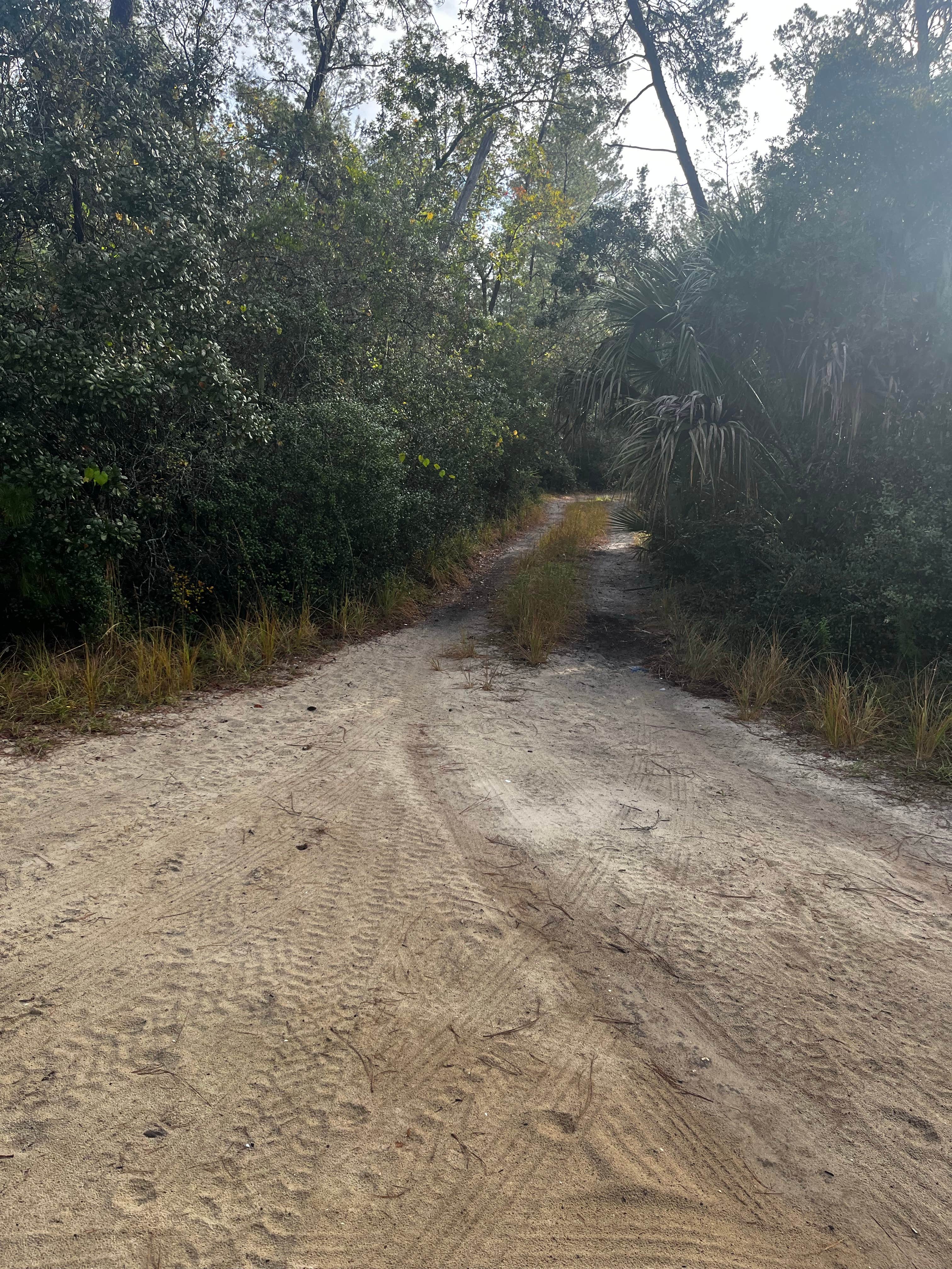 Camper-submitted photo at Bluff Landing near Orange City, FL