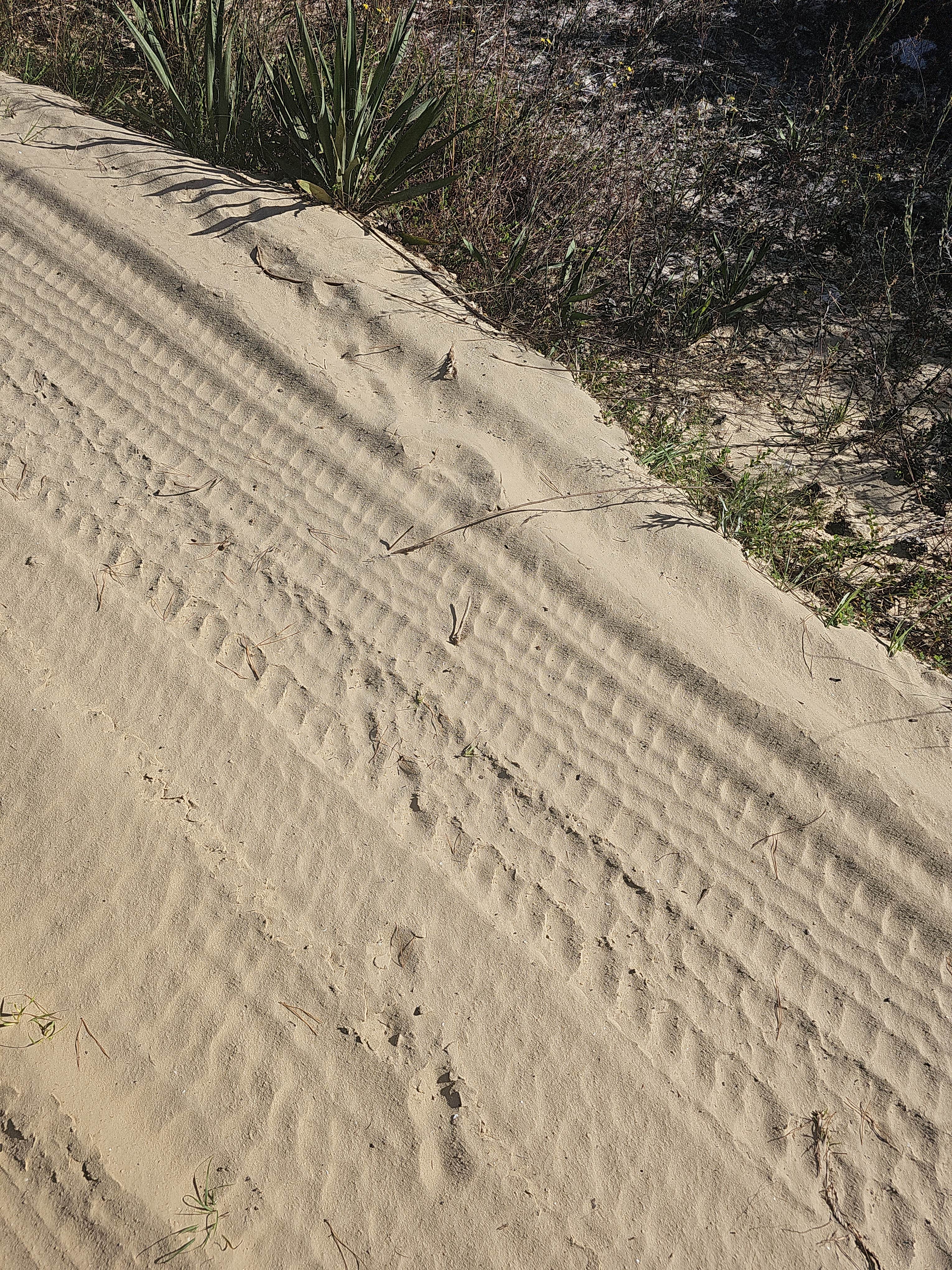 Camper-submitted photo at Bluff Landing near Orange City, FL