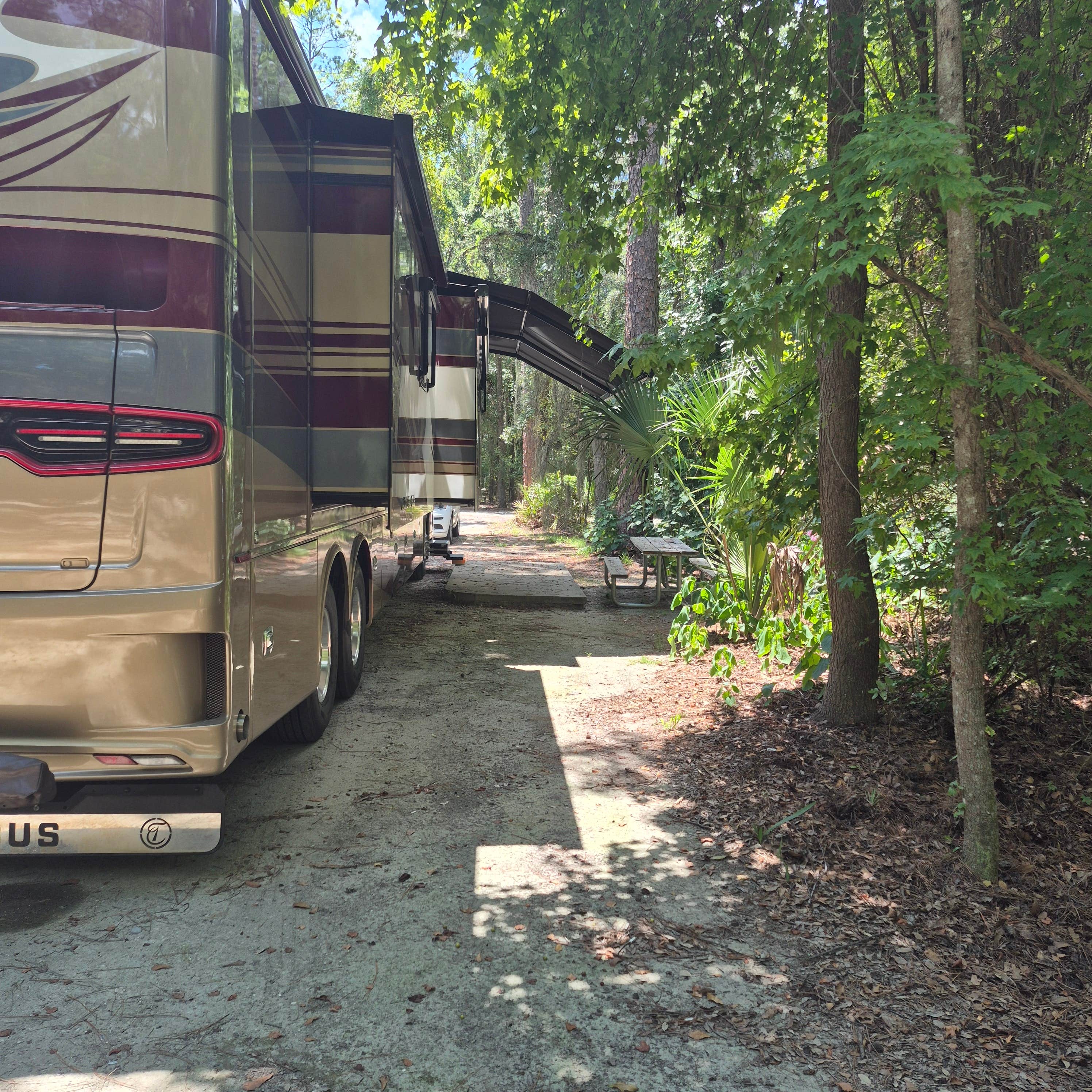 Camper-submitted photo at Blythe Island regional campground Georgia near Jekyll Island, GA