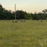 Review photo of Bobcat Creek RV Park by Ryan M., July 15, 2025