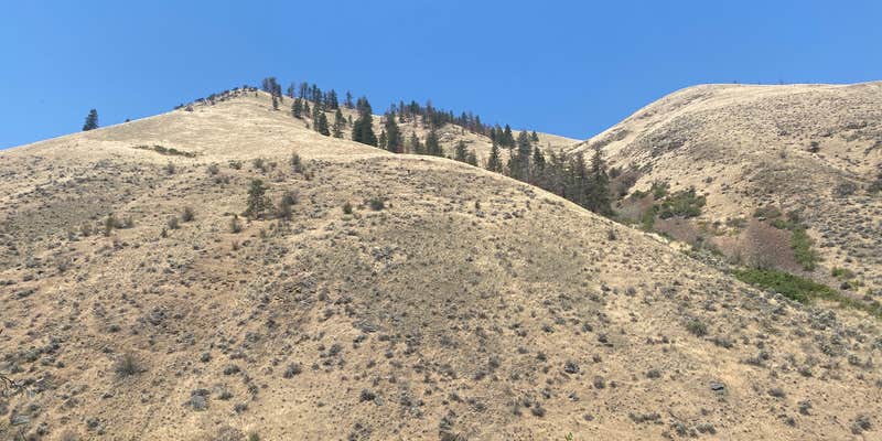 Camper submitted image from Bobcat Gulch