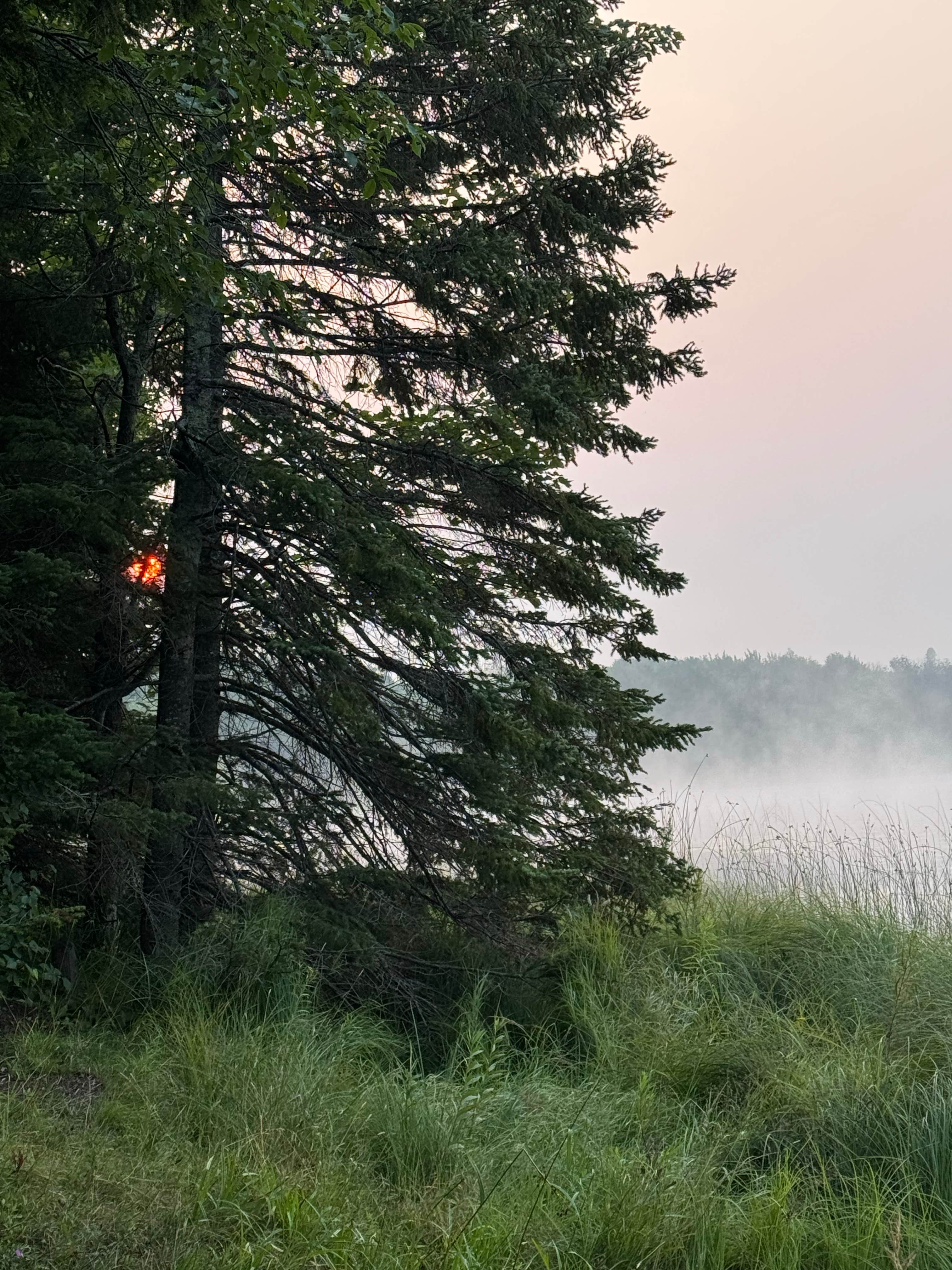 Camper submitted image from Bobcat Lake Camp — Ottawa National Forest - 1