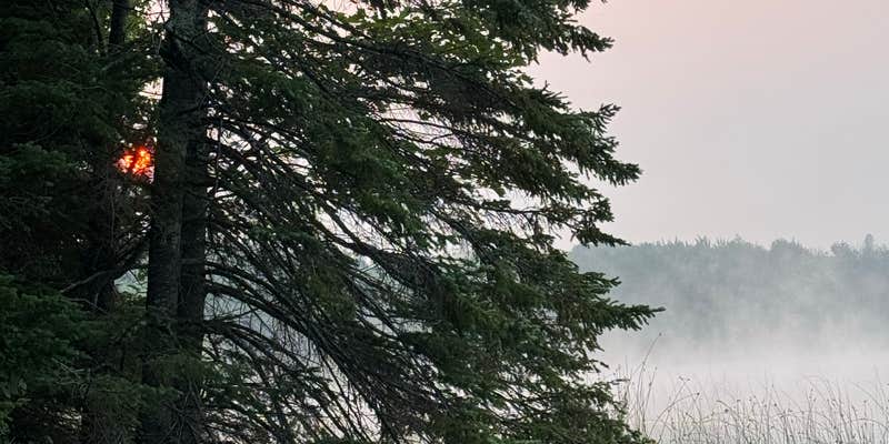 Camper submitted image from Bobcat Lake Camp — Ottawa National Forest