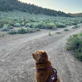Review photo of Bodie Roadside Camp by Emma M., June 21, 2025