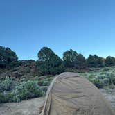 Review photo of Bodie Roadside Camp by Emma M., June 21, 2025