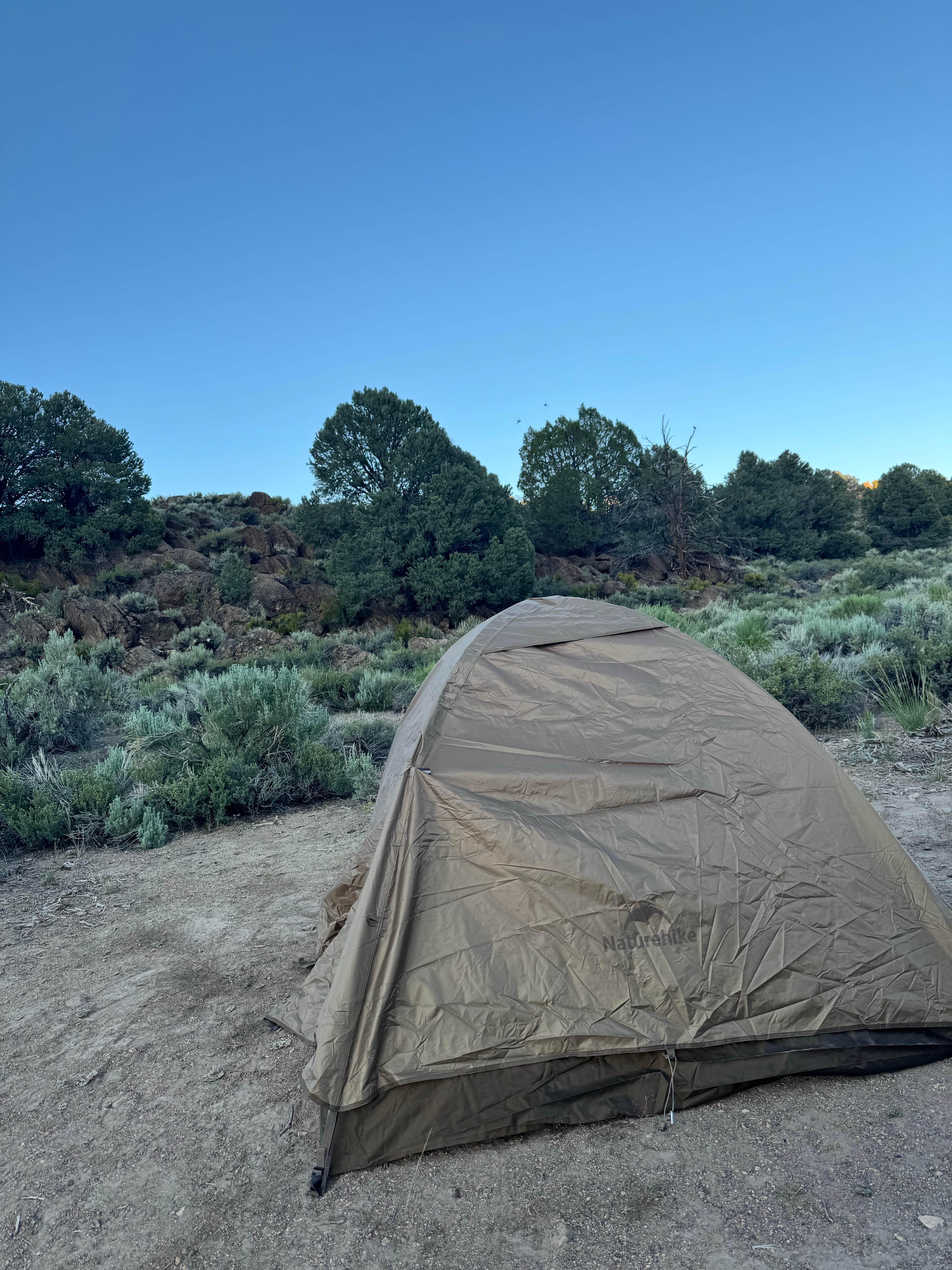 Camper submitted image from Bodie Roadside Camp - 1
